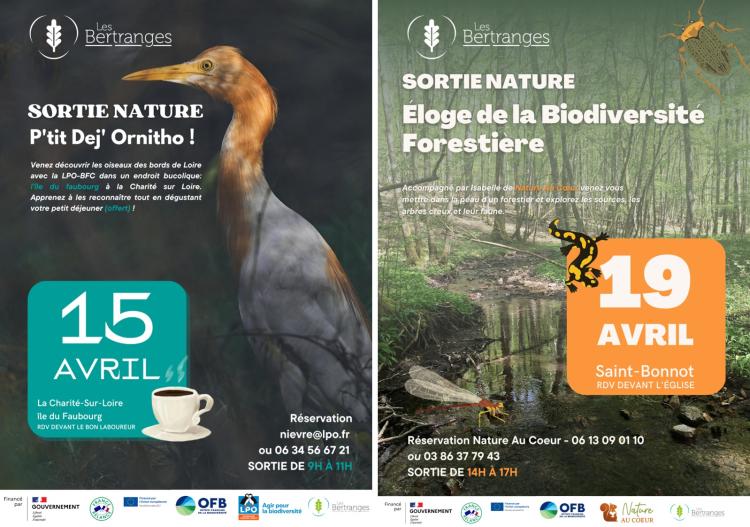 Affiche Animation Nature